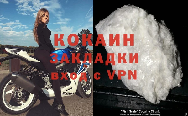 кокс Алексин