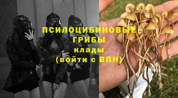 кокс Алексин