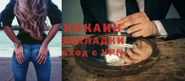 кокс Алексин
