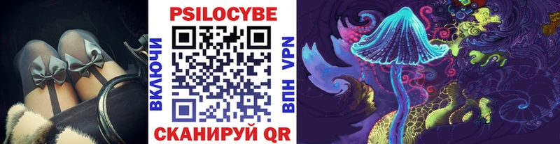 Галлюциногенные грибы Psilocybe  Бологое 